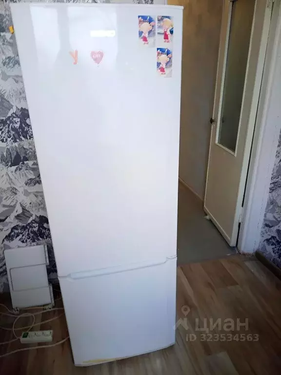 Комната Московская область, Мытищи ул. Щербакова, 2 (26.0 м) - Фото 2