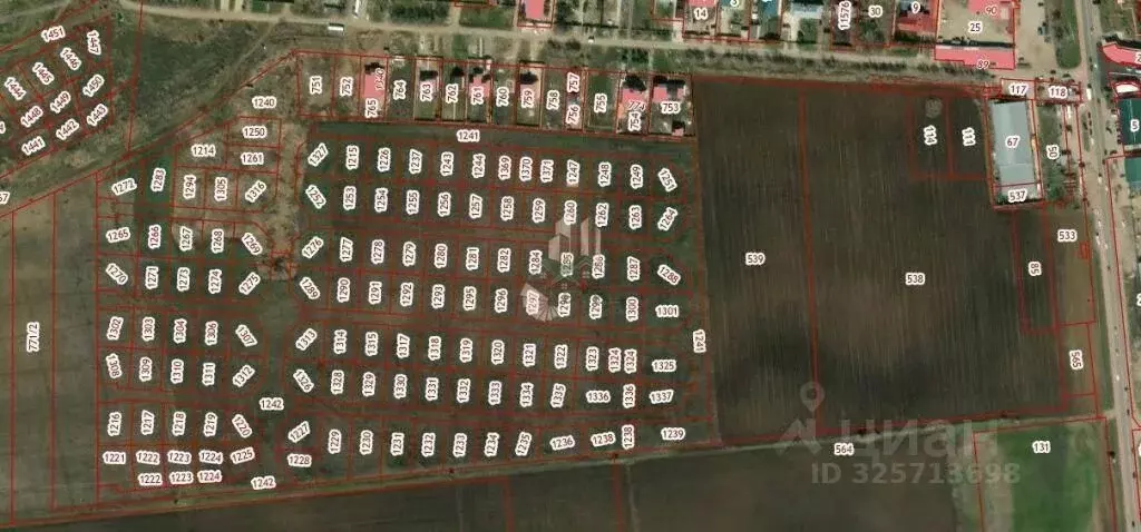 Участок в Саратовская область, Энгельсский район, Новопушкинское ... - Фото 2