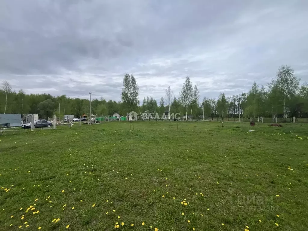 Участок в Московская область, Коломна городской округ, с. Чанки  (12.0 ... - Фото 1