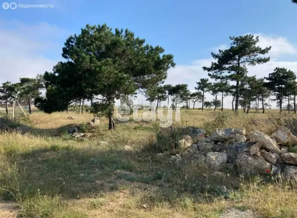 Участок в Севастополь, садоводческое товарищество Янтарь (8 м) - Фото 2