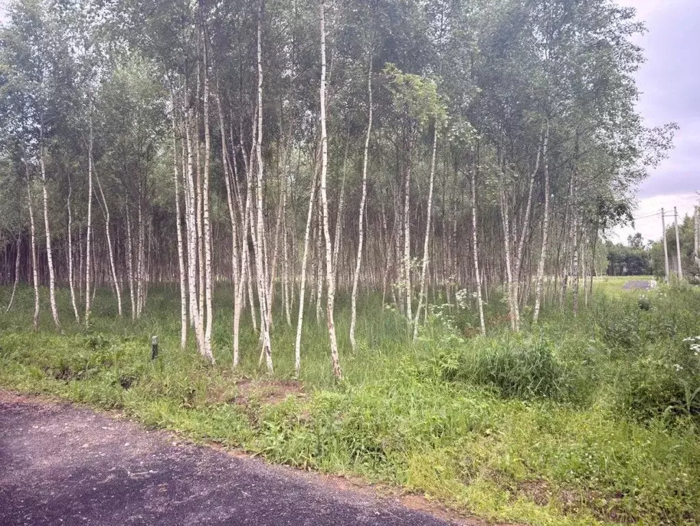 Участок в Московская область, Серпухов городской округ, Форест Парк кп ... - Фото 2