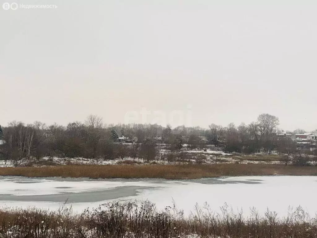 Участок в Тульская область, городской округ Новомосковск, село ... - Фото 1