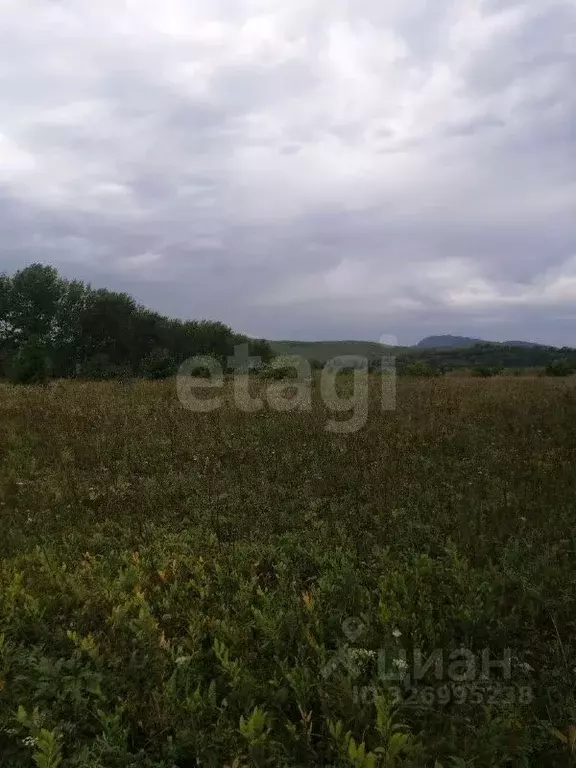 Участок в Алтайский край, Советский район, с. Платово  (12.0 сот.) - Фото 1