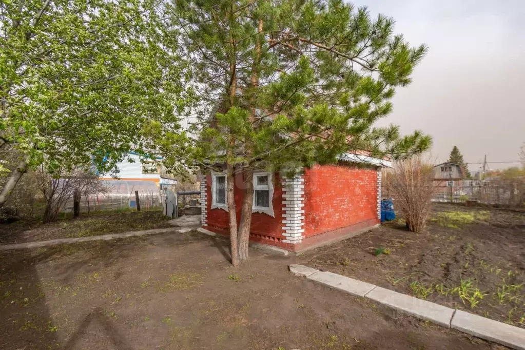 Дом в Омская область, Омск СНТ Ромашка ТСН, аллея 6-я, 9 (19 м) - Фото 1