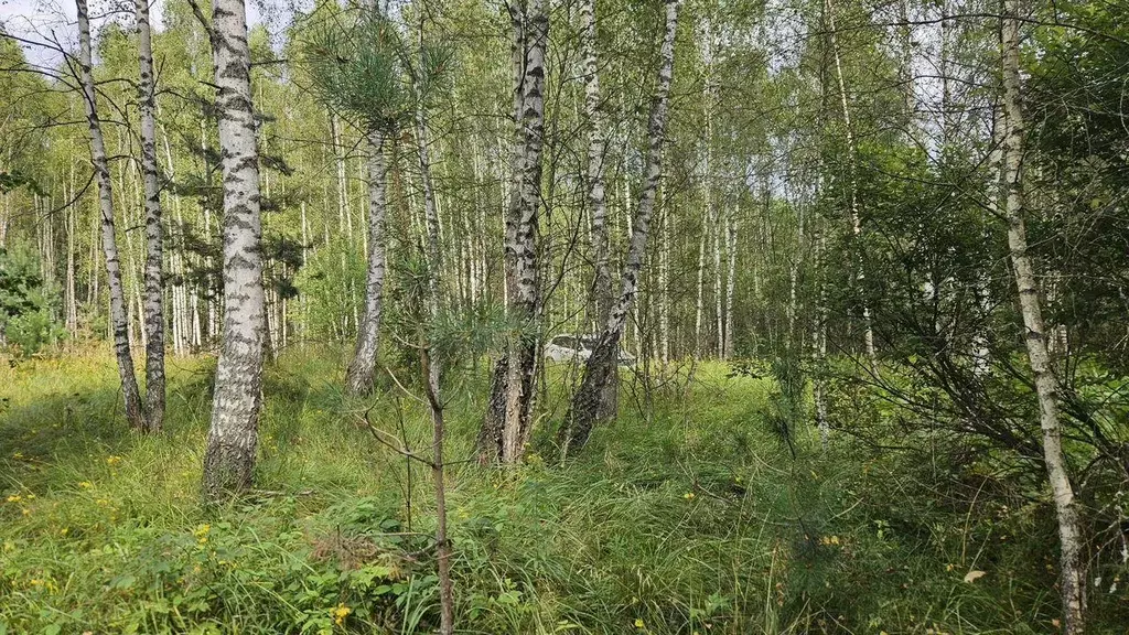 Участок, 30 сот., поселения (ижс) - Фото 1