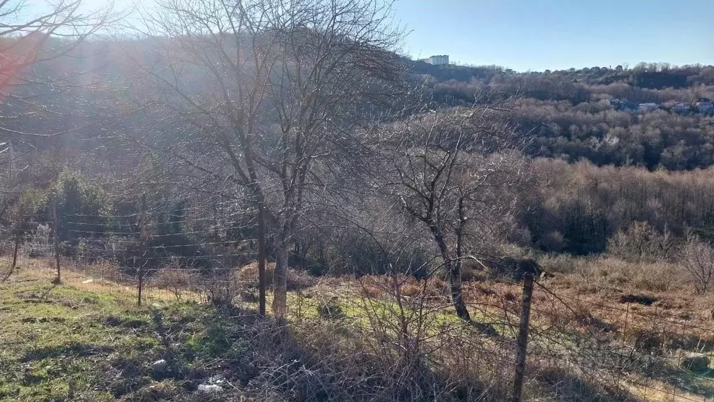 Участок в Краснодарский край, Сочи городской округ, с. Варваровка ул. ... - Фото 0