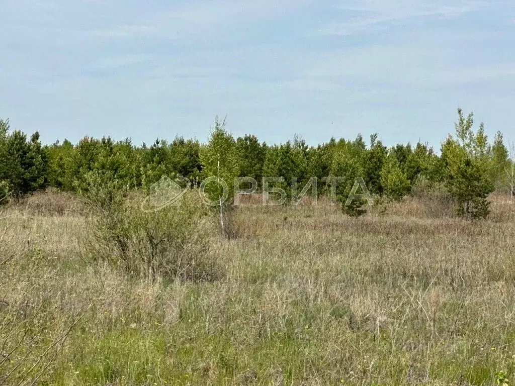 Участок в Тюменская область, Тюменский муниципальный округ, с. ... - Фото 1