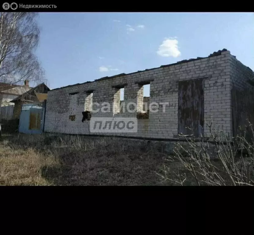 Участок в Липецкий муниципальный округ, село Архангельские Борки (30 ... - Фото 1