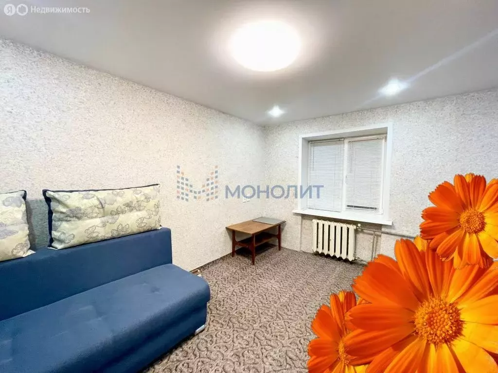 1-комнатная квартира: Чебоксары, Молодёжный переулок, 11к1 (24.4 м) - Фото 1