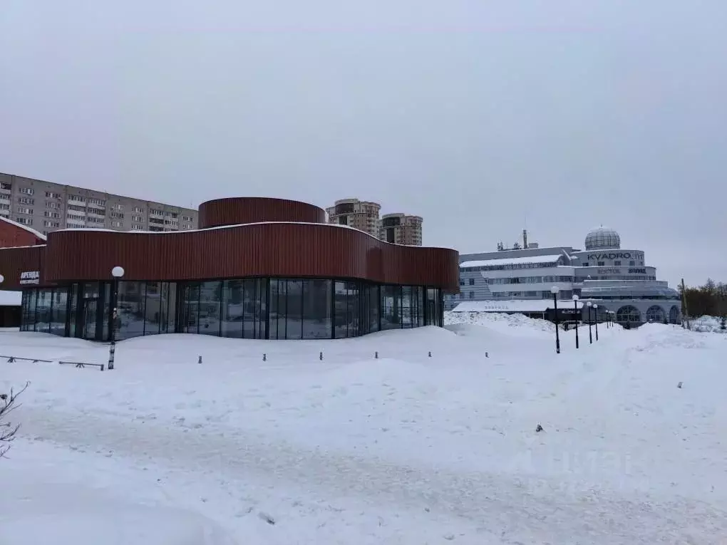 Помещение свободного назначения в Ивановская область, Иваново пл. ... - Фото 2