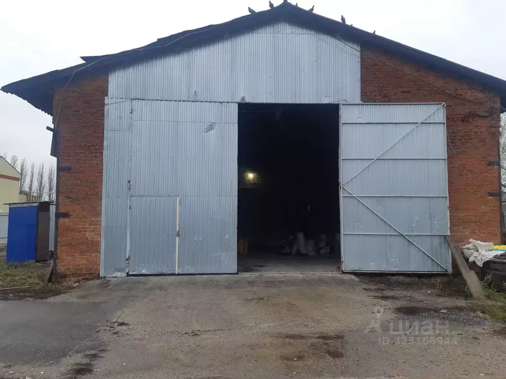 Склад в Курская область, Курск ул. 50 лет Октября, 124В (529 м) - Фото 2