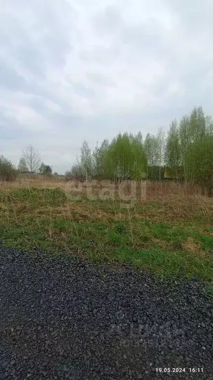 Участок в Томская область, Томск пос. Родионово, ул. Светлая (15.54 ... - Фото 1