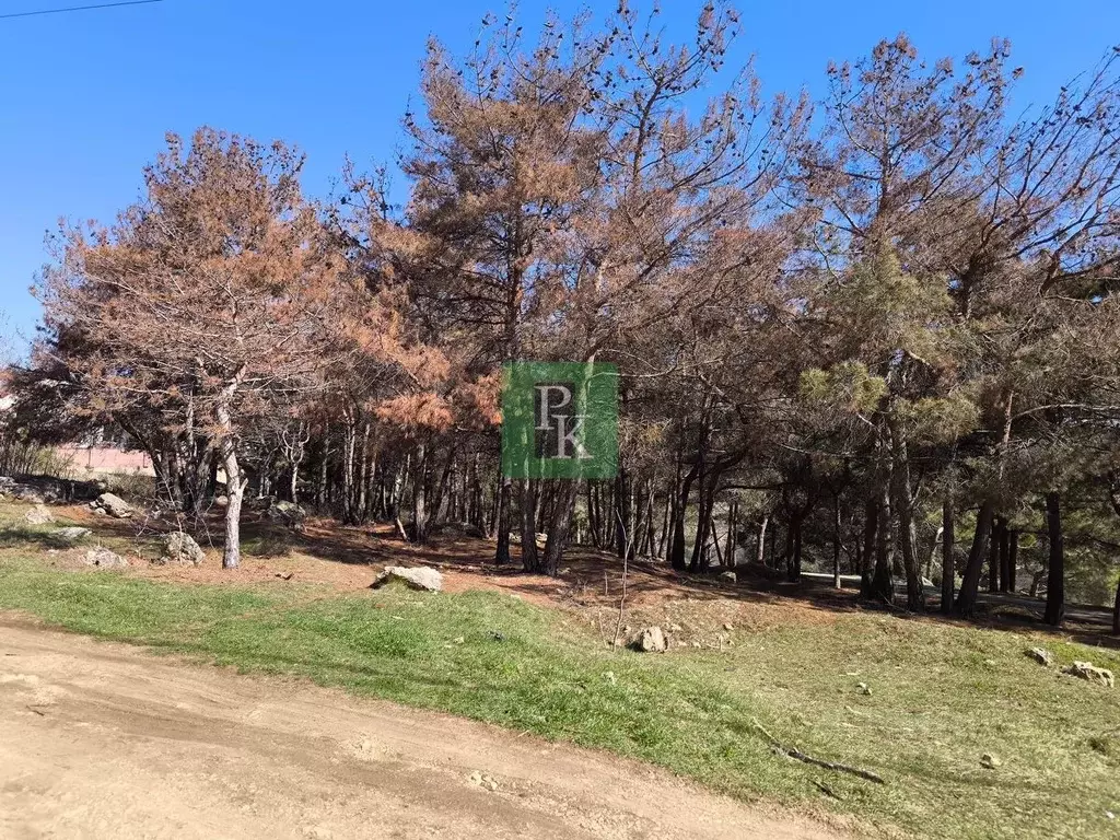 Участок в Севастополь Подводник ПКИЗ, ул. Черемуховая, 75 (8.1 сот.) - Фото 2