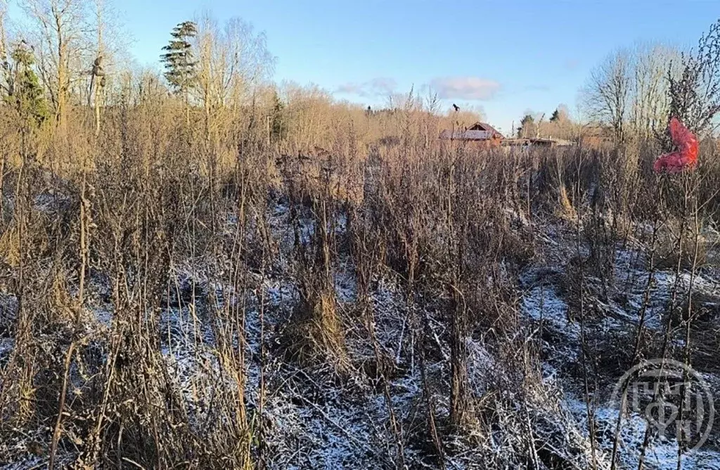 Участок в Ленинградская область, Лужский район, Толмачевское городское ... - Фото 1