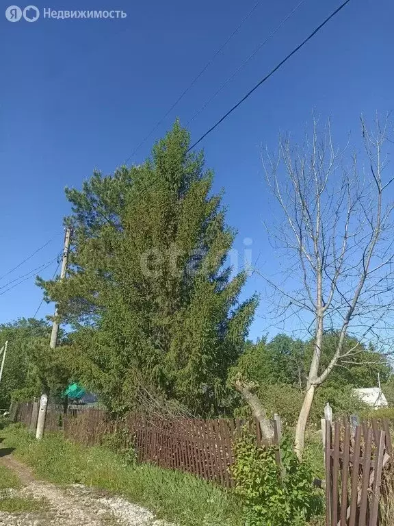 Участок в Наумовский сельсовет, СНТ Ильмень (6 м) - Фото 1