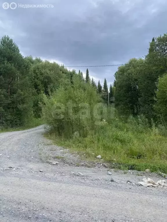 Участок в Турочакский район, село Артыбаш (10 м) - Фото 1