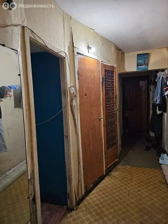 4-комнатная квартира: Санкт-Петербург, улица Белы Куна, 27к1 (74.5 м) - Фото 0