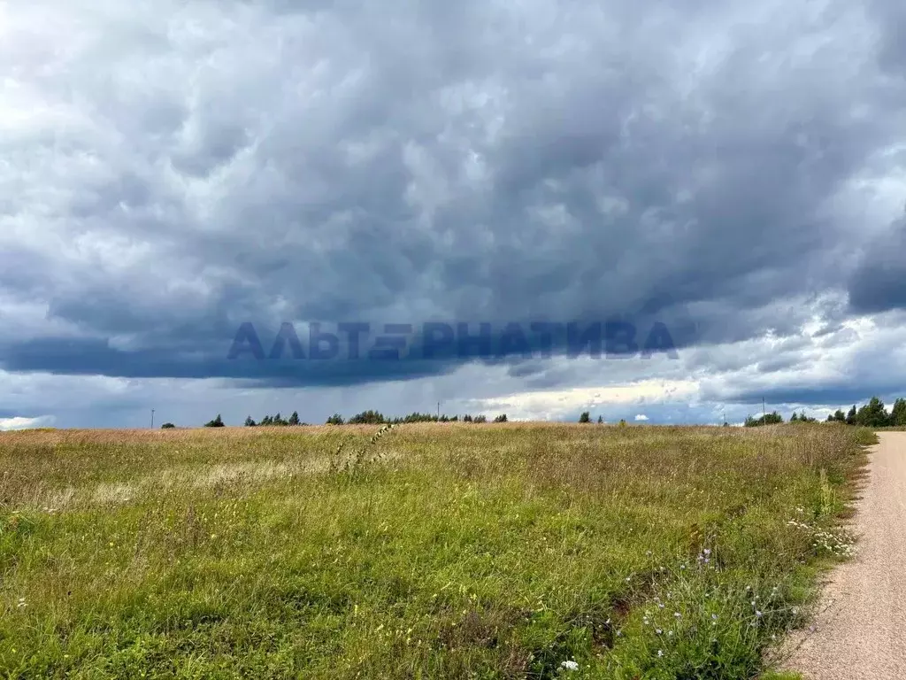 Участок в Ярославская область, Переславль-Залесский муниципальный ... - Фото 1