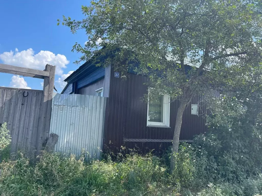 Дом в Омская область, Любинский район, с. Китайлы ул. Труда (33 м) - Фото 0