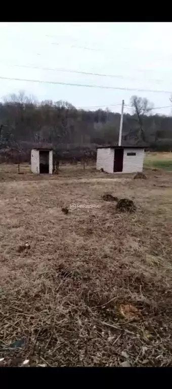 Участок в Орловская область, Орловский муниципальный округ, Нива СНТ ... - Фото 1