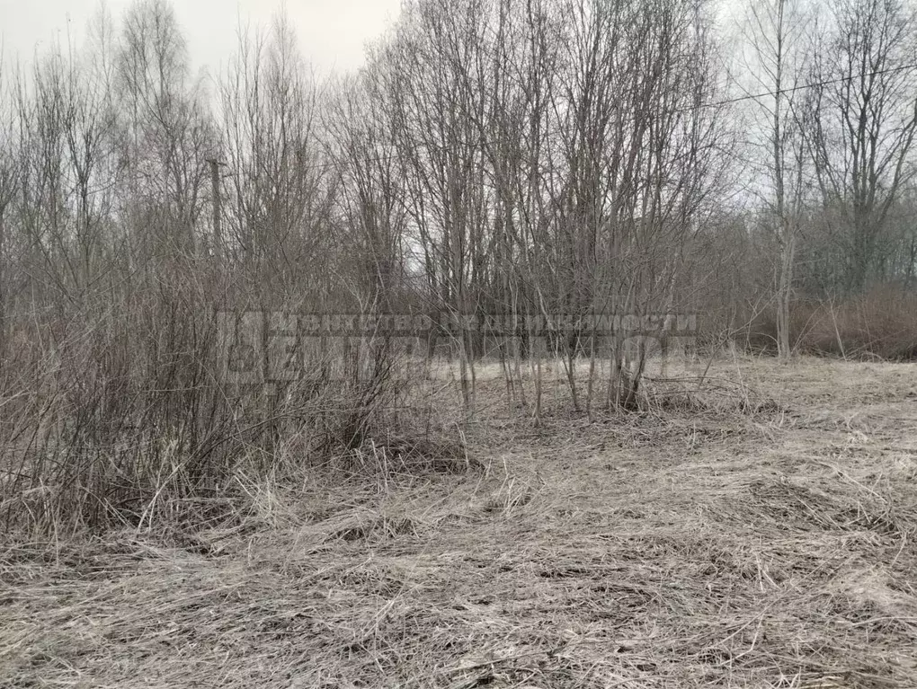 Участок в Смоленская область, Смоленск ш. Рославльское, 7 (11.5 сот.) - Фото 1