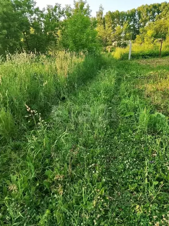Участок в Кемеровская область, Кемерово Рудничное СНТ,  (10.0 сот.) - Фото 0