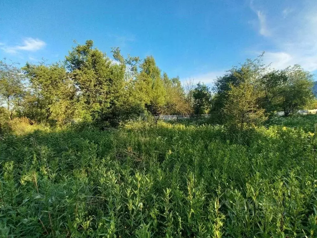 Участок в Московская область, Раменский муниципальный округ, д. ... - Фото 1