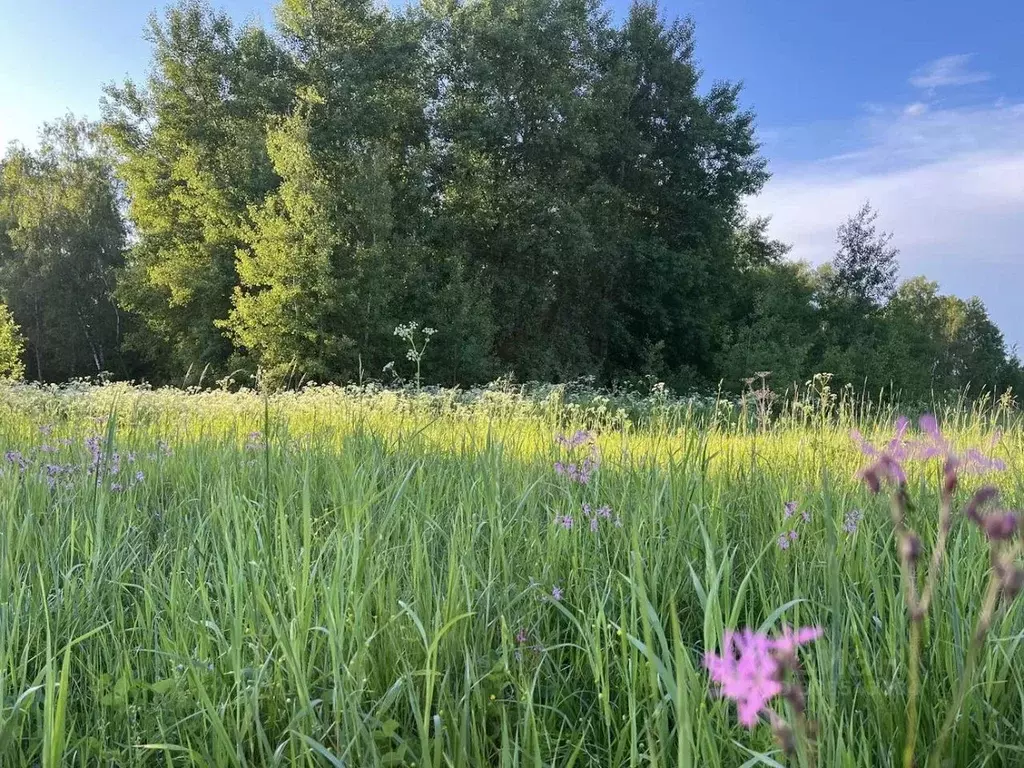 Участок в Московская область, Серпухов городской округ, д. Гавшино  ... - Фото 0