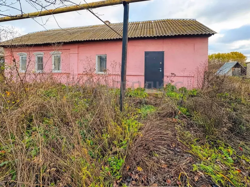 Дом в Липецкая область, Добринский район, Демшинский сельсовет, с. ... - Фото 1