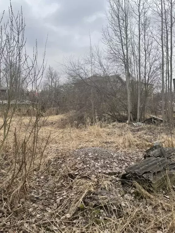 Участок в Санкт-Петербург, Санкт-Петербург, Пушкин ул. 3-я Советская, ... - Фото 1