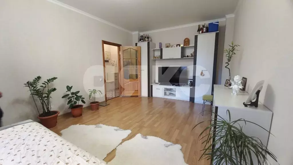 1-к кв. Краснодарский край, Анапа Анапское ш., 1г (49.5 м) - Фото 1