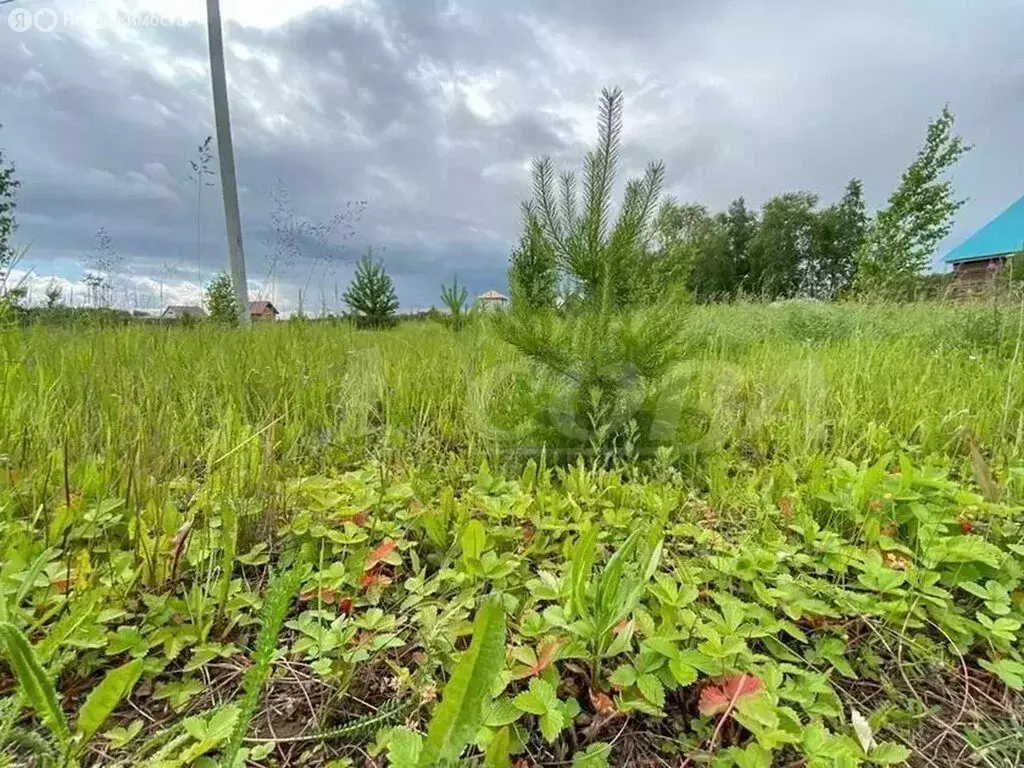 Участок в Тюменская область, Ялуторовский муниципальный округ, село ... - Фото 1