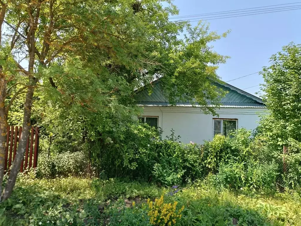 Дом в Нижегородская область, с. Дивеево ул. Ситнова, 40 (170 м) - Фото 1