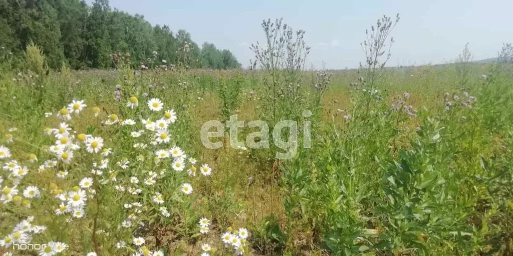 Участок в Свердловская область, Горноуральский городской округ, с. ... - Фото 0