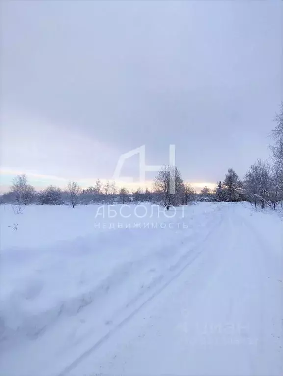 Участок в Московская область, Краснозаводск Сергиево-Посадский район, ... - Фото 1