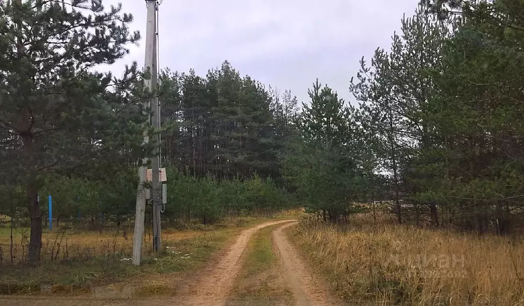 Дом в Псковская область, Псковский район, д. Покрутище  (280 м) - Фото 1