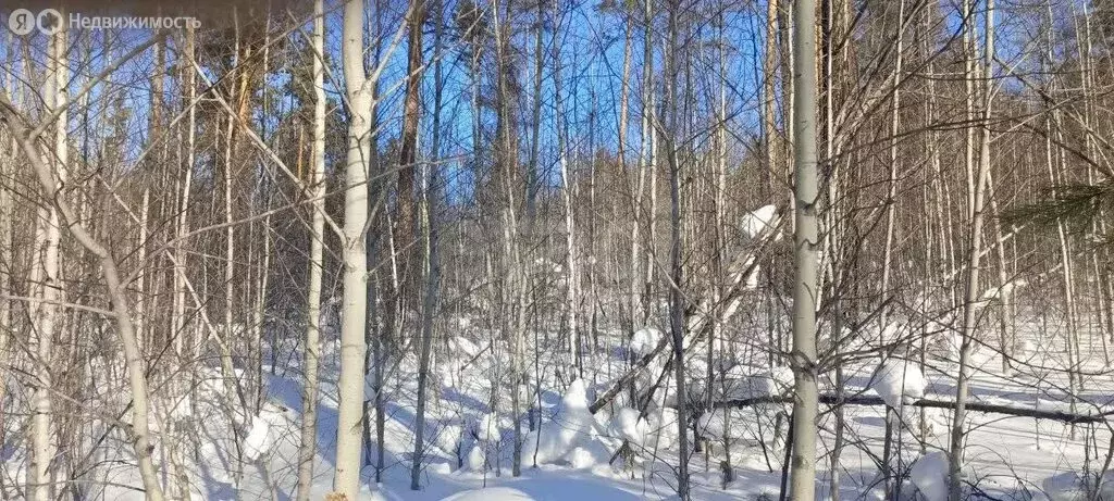 Участок в Иркутский муниципальный округ, деревня Новолисиха, посёлок ... - Фото 2