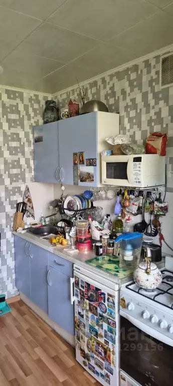1-к кв. Санкт-Петербург Пулковская ул., 11К2 (33.1 м) - Фото 2
