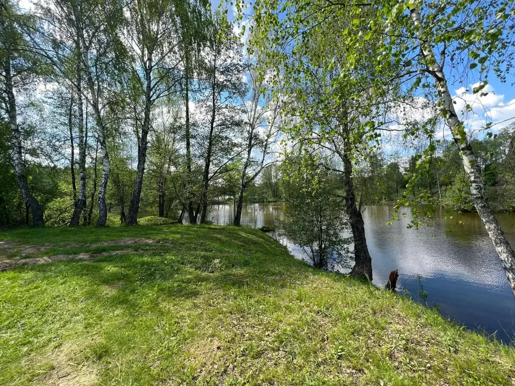 Участок в Московская область, Домодедово городской округ, с. Красный ... - Фото 1