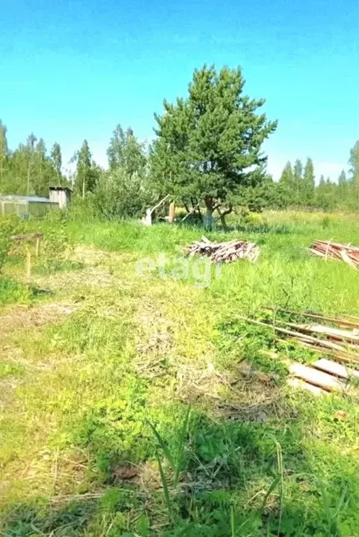 Участок в Ленинградская область, Гатчинский муниципальный округ, пос. ... - Фото 1