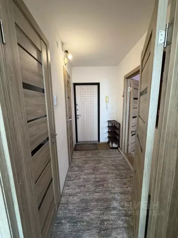 1-к кв. Челябинская область, Челябинск ул. Чичерина, 33А (34.0 м) - Фото 2