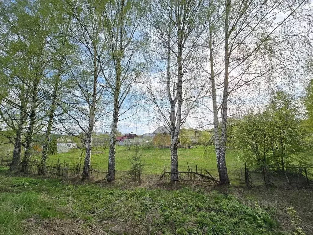 Участок в Нижегородская область, Нижний Новгород городской округ, д. ... - Фото 1