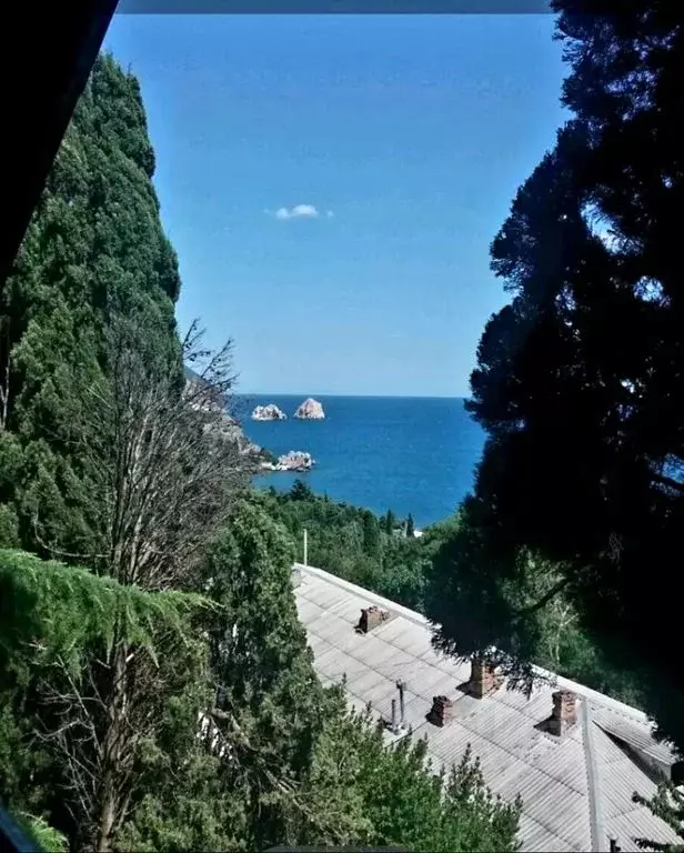 Комната Крым, Ялта муниципальный округ, Гурзуф пгт ул. 9 Мая, 12Б - Фото 0