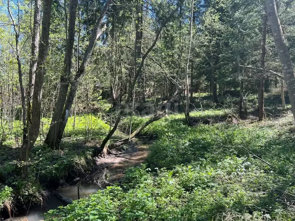Участок в Московская область, Дмитровский муниципальный округ, д. ... - Фото 0