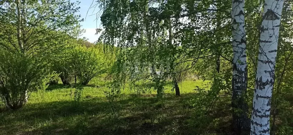 Участок в Нижегородская область, Богородский муниципальный округ, ... - Фото 1