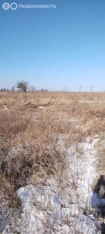 Участок в Благовещенск, СНТ Багульник (8 м) - Фото 1