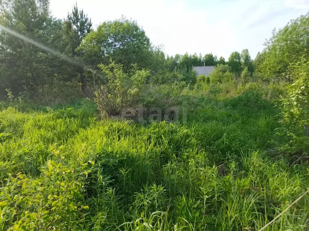 Участок в Свердловская область, Горноуральский муниципальный округ, с. ... - Фото 1