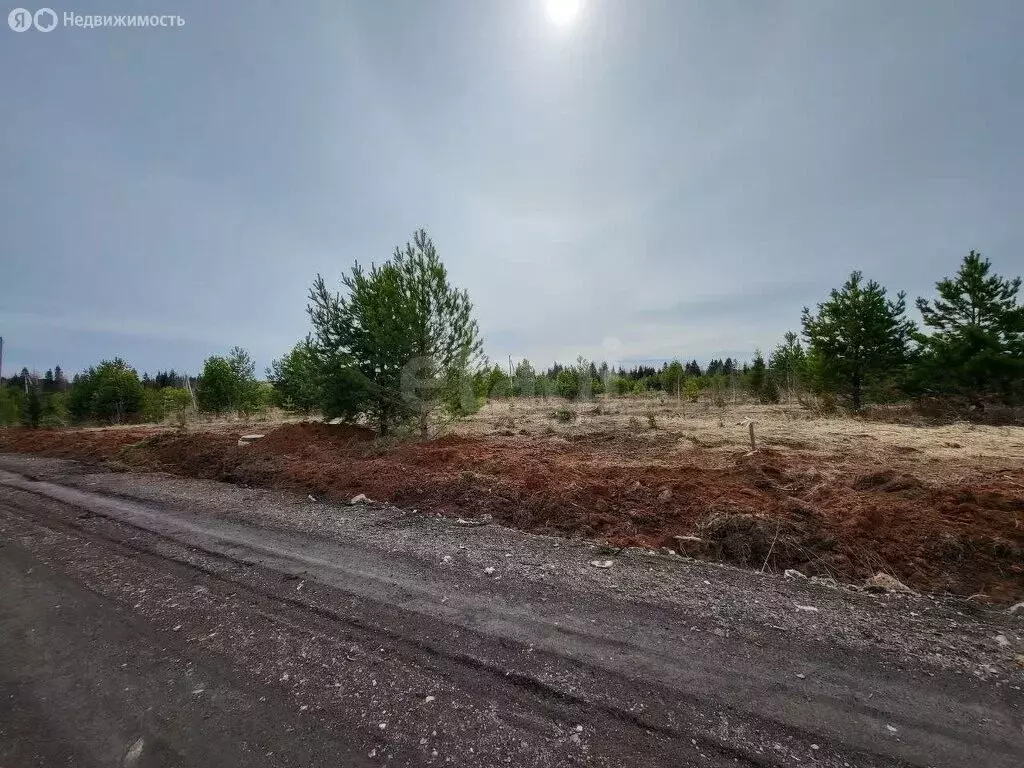 Участок в Завьяловский район, территория ТСН Красная Горка, Терновая ... - Фото 0