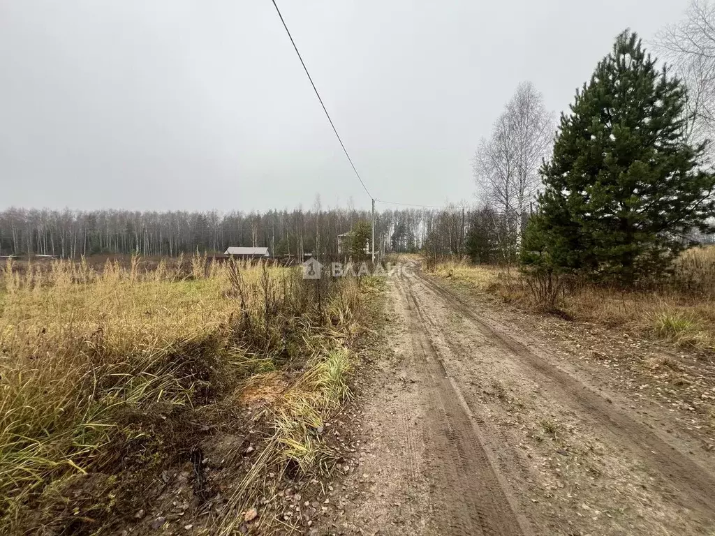 Участок в Владимирская область, Судогодский район, с. Чамерево  (15.0 ... - Фото 2