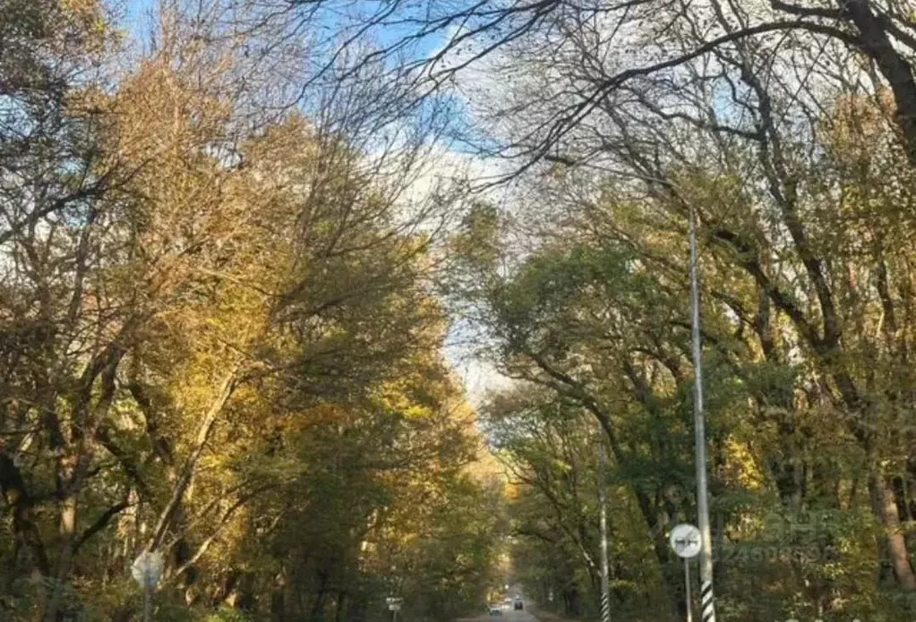 Участок в Ставропольский край, Ставрополь Вольница СНТ, 189 (6.0 сот.) - Фото 2